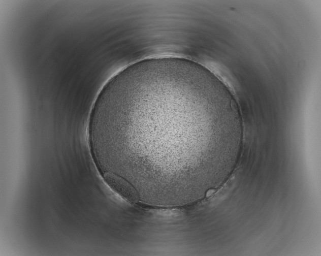 X0000112381189200908271313