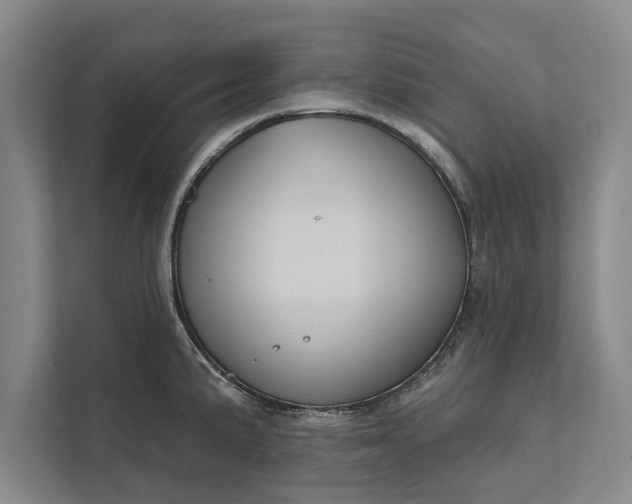 X0000112381191200908271313