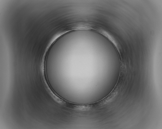 X0000112381195200908271313