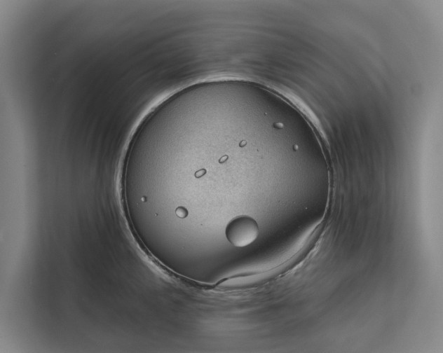 X0000112381197200908271312