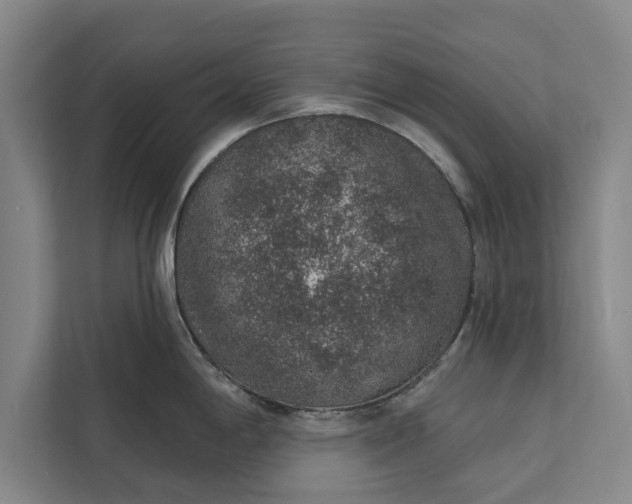 X0000112381198200908271312