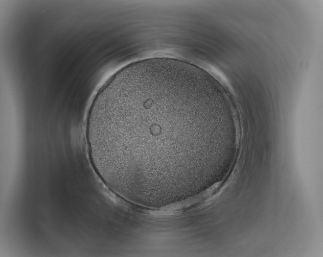 X0000112381200200908271312