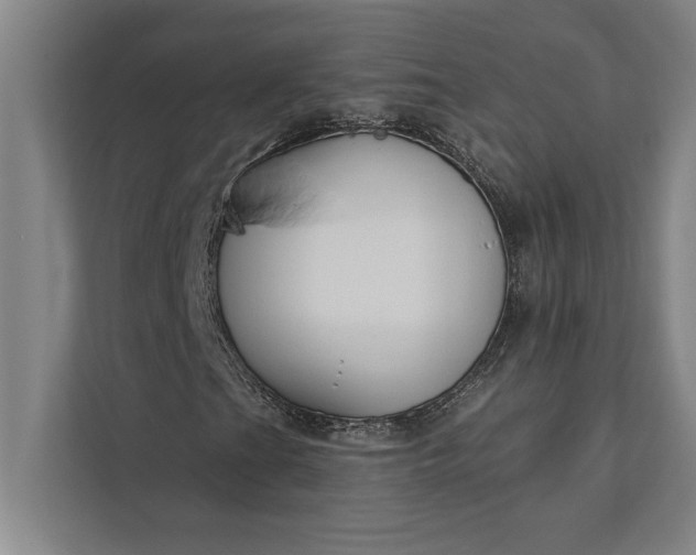 X0000112381201200908271312