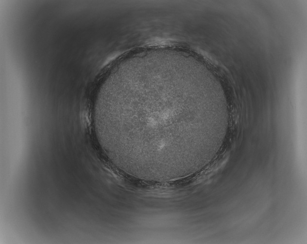 X0000112381206200908271312