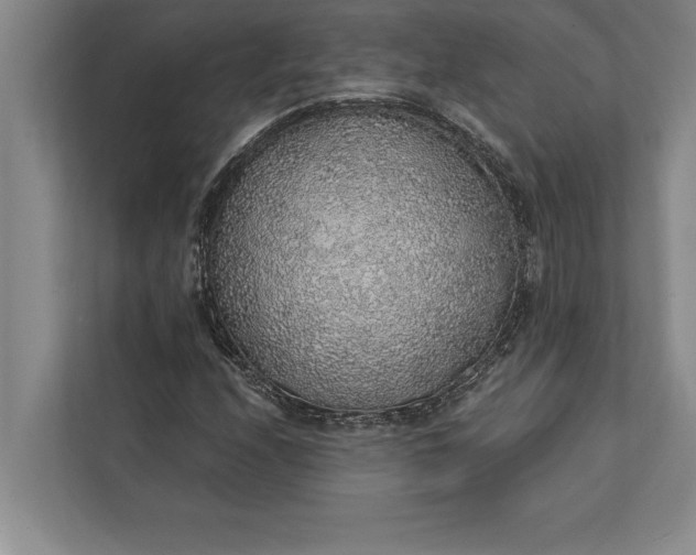 X0000112381208200908271312