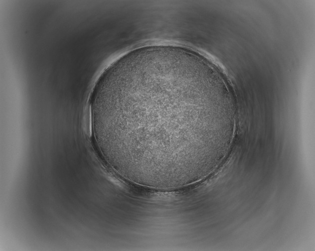 X0000112381223200908271312