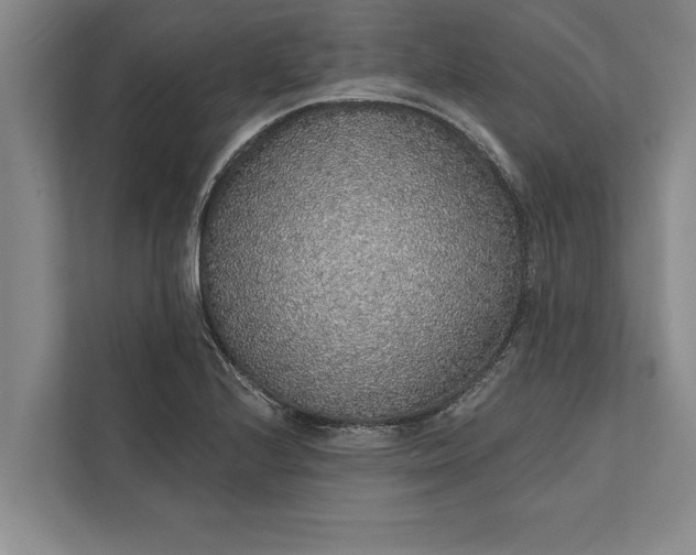 X0000112381224200908271312