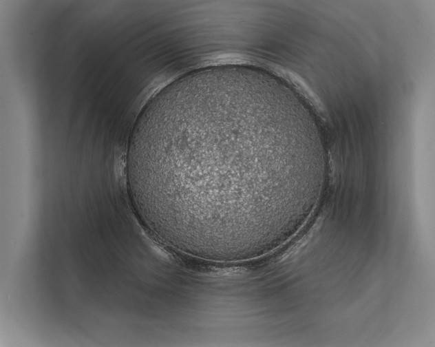 X0000112381225200908271312