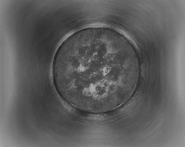 X0000112381229200908271312