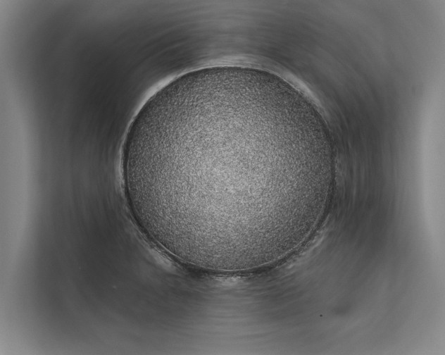 X0000112381230200908271312