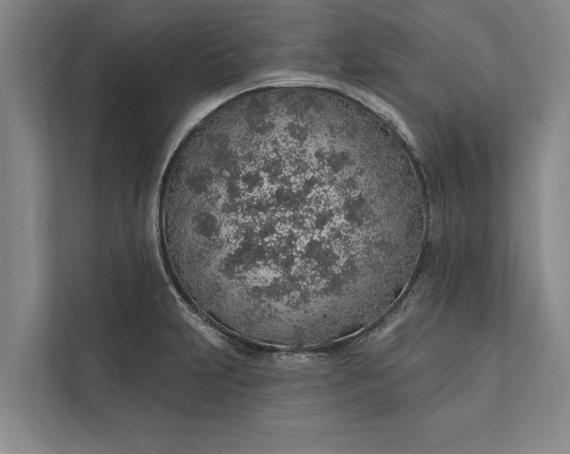 X0000112381231200908271312