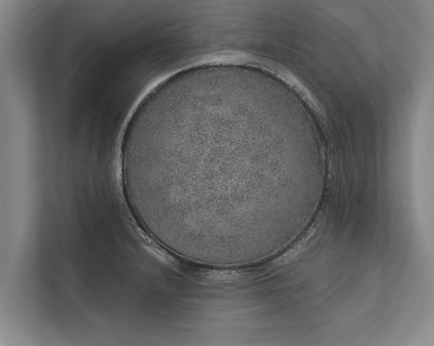 X0000112381232200908271312