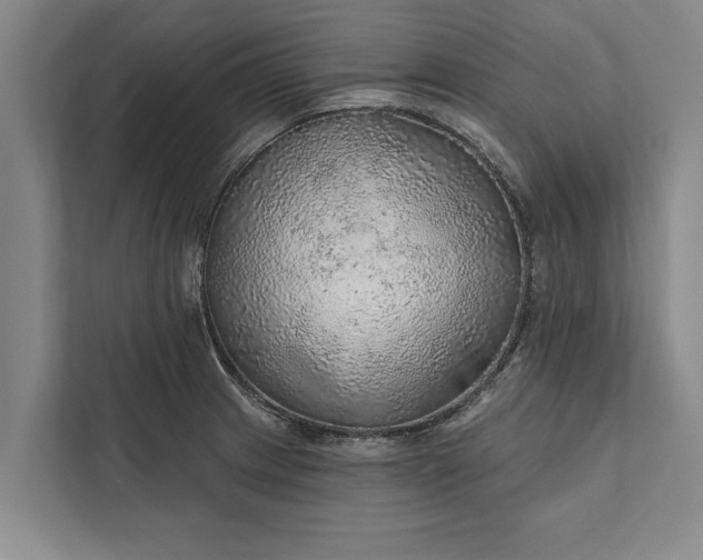 X0000112381233200908271312