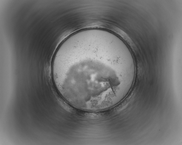 X0000112381234200908271312