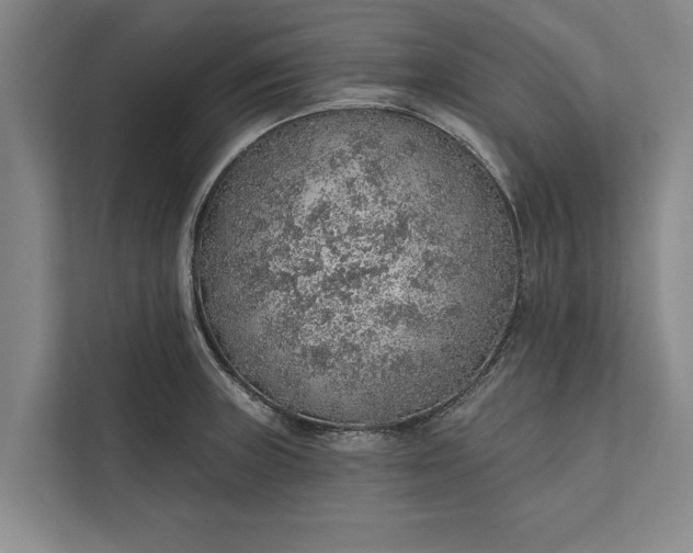 X0000112381235200908271312