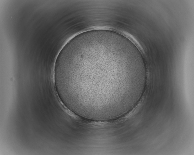 X0000112381236200908271312