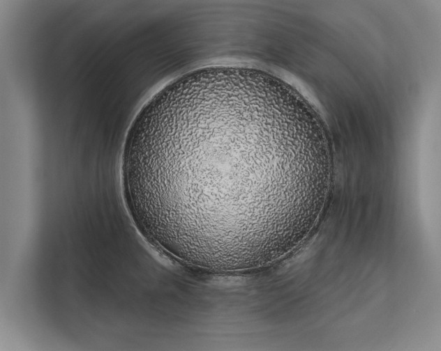 X0000112381237200908271312