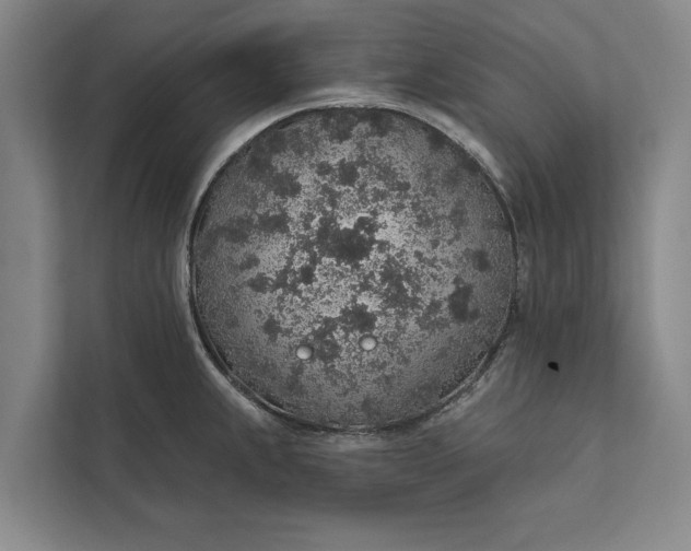 X0000112381239200908271312