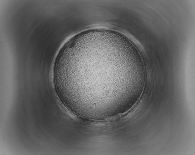 X0000112381240200908271312