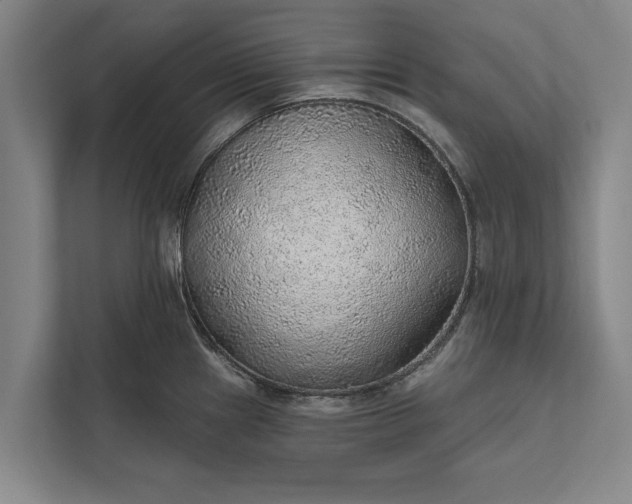 X0000112381241200908271312