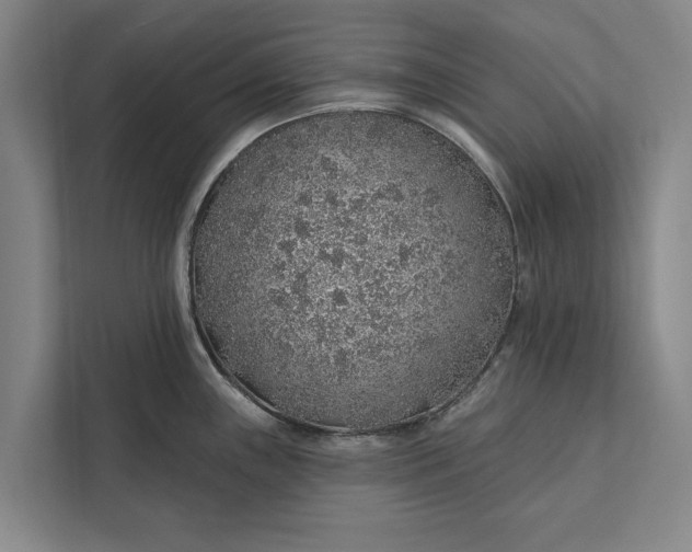 X0000112381243200908271312