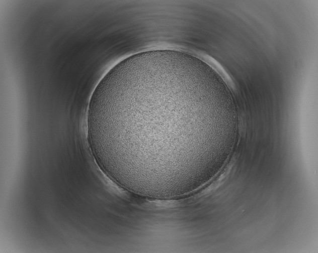 X0000112381244200908271312