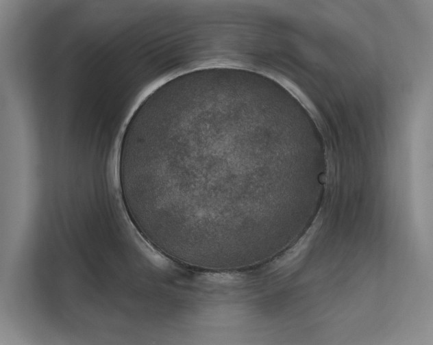 X0000112381246200908271312