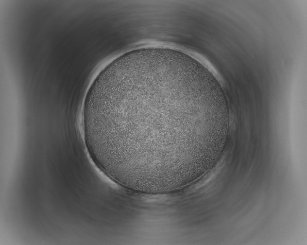 X0000112381247200908271312