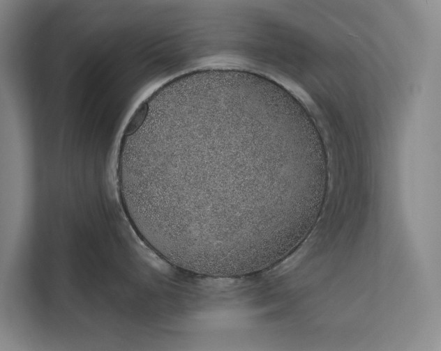 X0000112381248200908271312