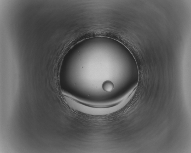 X0000112381249200908271312