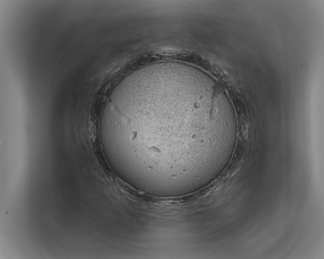 X0000112381253200908271312