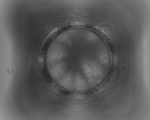 X0000112381254200908271312