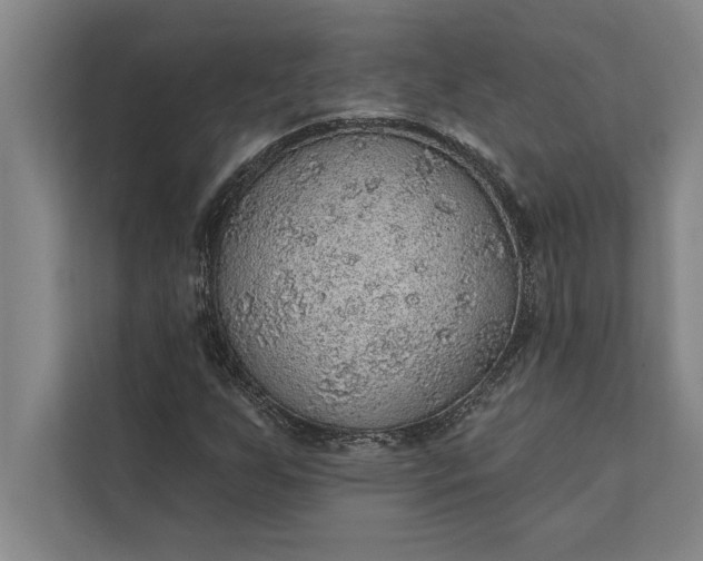 X0000112381255200908271312