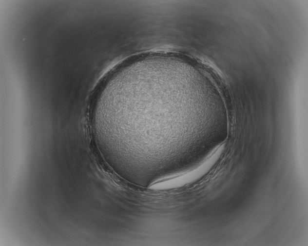 X0000112381256200908271312