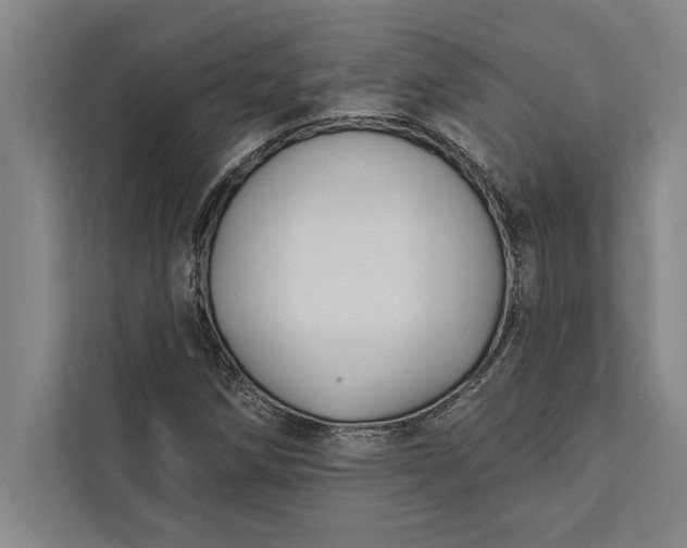 X0000112381258200908271312