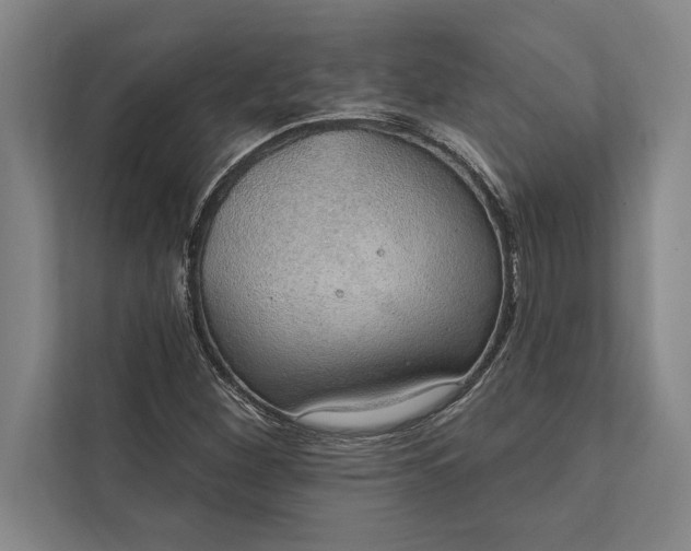 X0000112381260200908271312