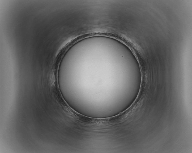 X0000112381262200908271312