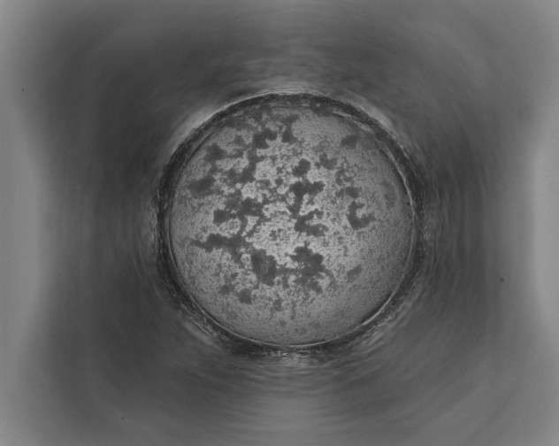 X0000112381263200908271312