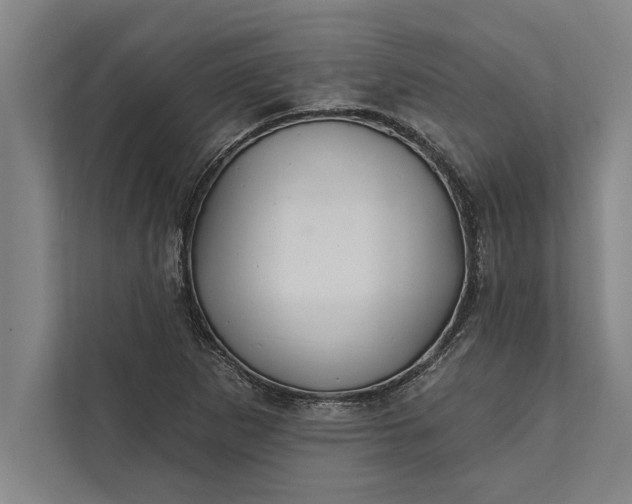 X0000112381265200908271312