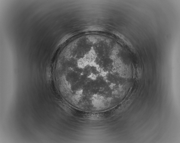 X0000112381266200908271312