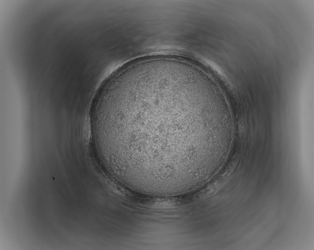 X0000112381267200908271312