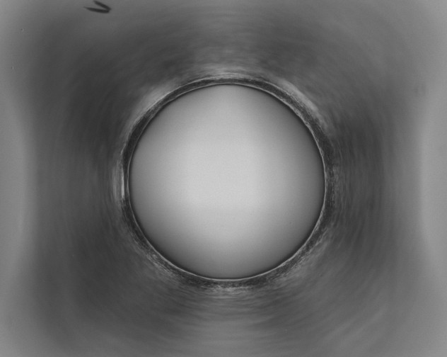 X0000112381269200908271312