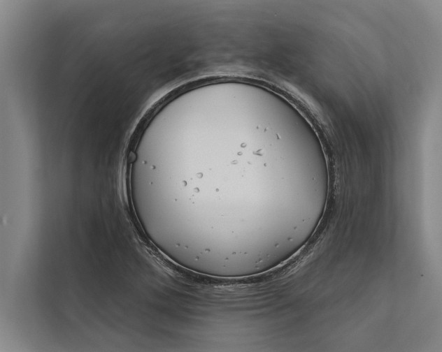 X0000112381272200908271312