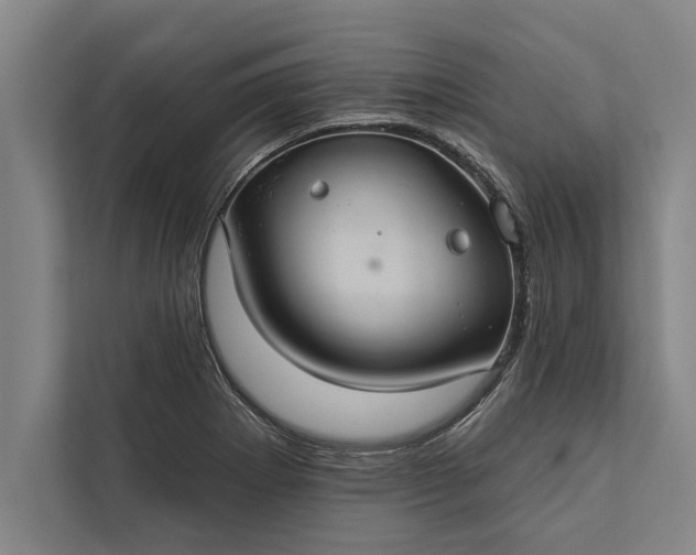 X0000112381273200908271311