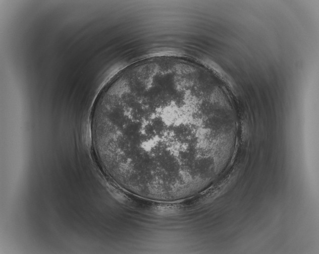 X0000112381274200908271311