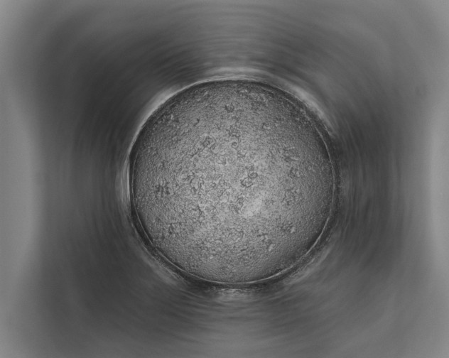 X0000112381275200908271311