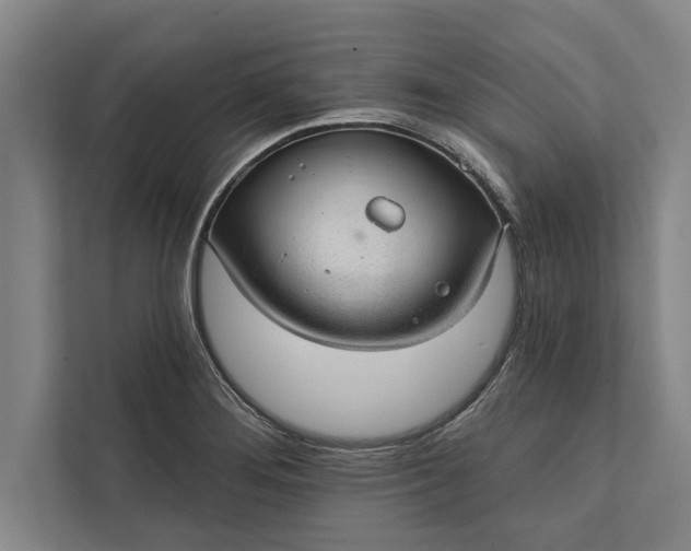 X0000112381276200908271311