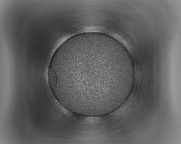 X0000112381277200908271311