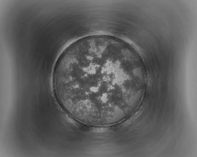 X0000112381278200908271311