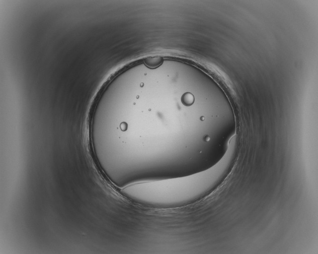 X0000112381280200908271311